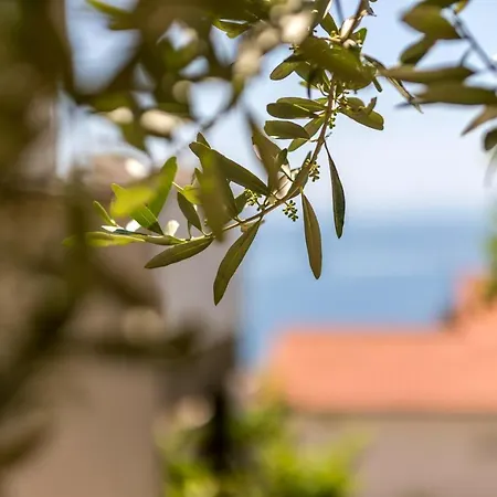 Studio 301c Baska Voda